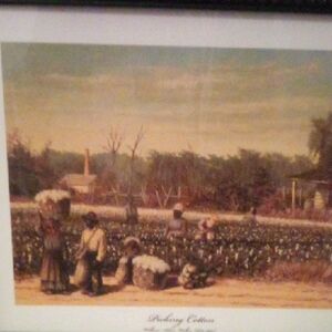 Black Family From The 1800's Picking Cotton On Their Own Land, Framed Art Print